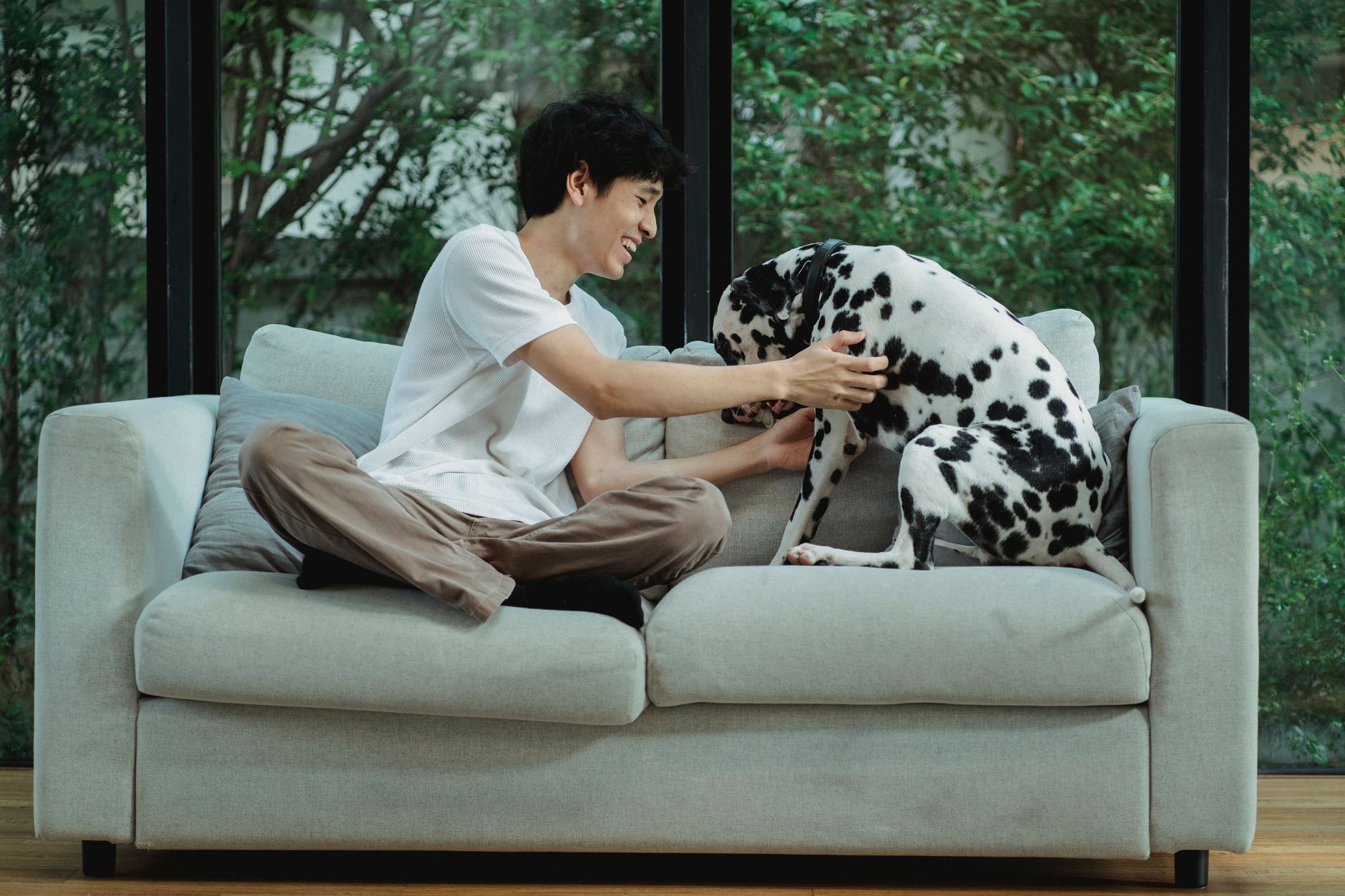 misc pet lifestyle photo