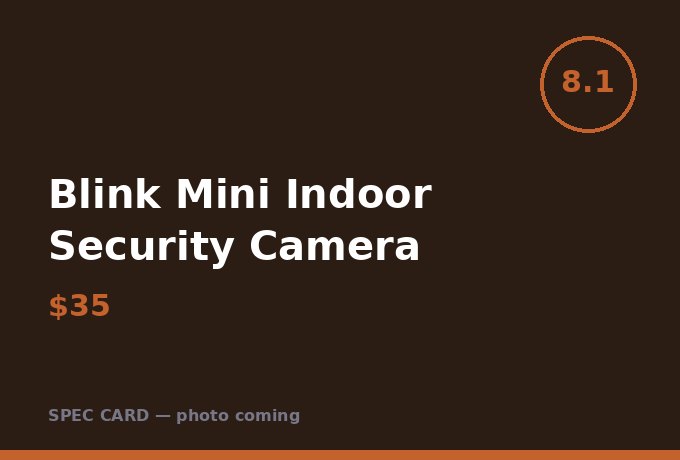 Blink Mini Indoor Security Camera