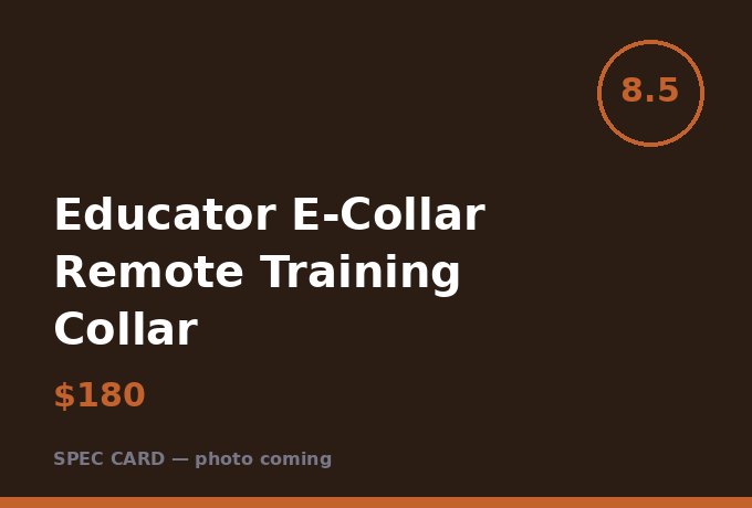 Educator E-Collar Remote Training Collar