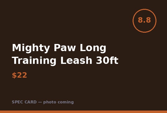 Mighty Paw Long Training Leash 30ft