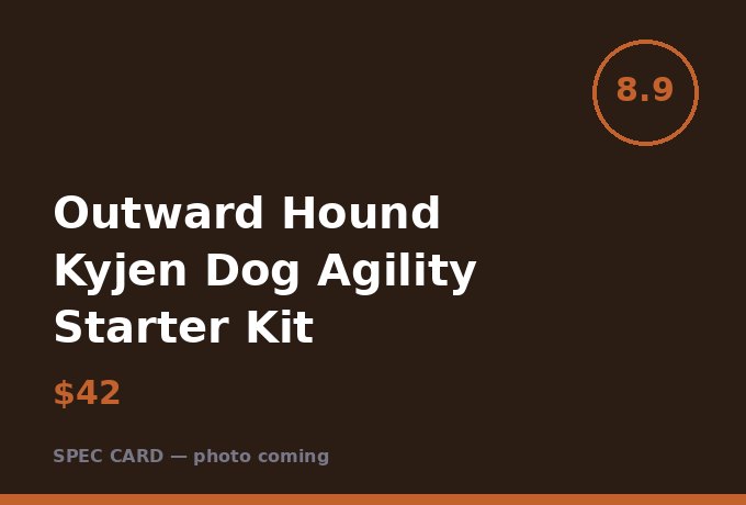 Outward Hound Kyjen Dog Agility Starter Kit