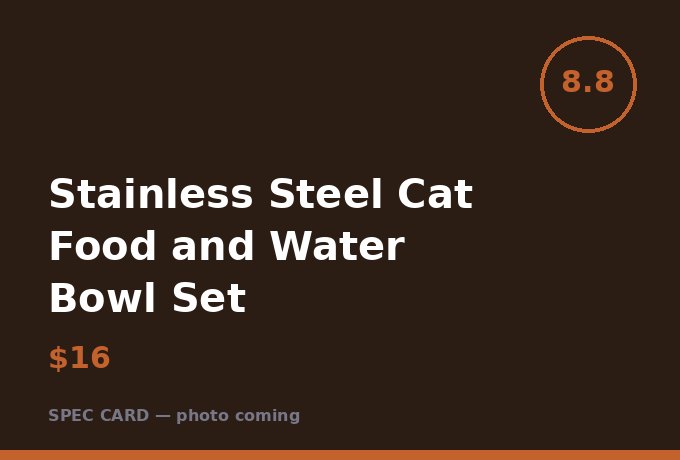 Stainless Steel Cat Food and Water Bowl Set